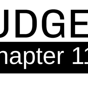 Judges - Chapter 11