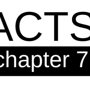 Acts - Chapter 7