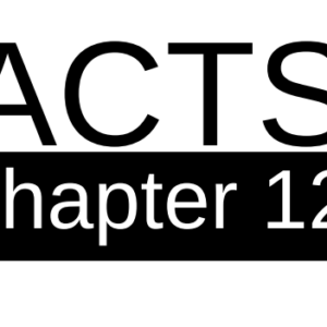 Acts - Chapter 12